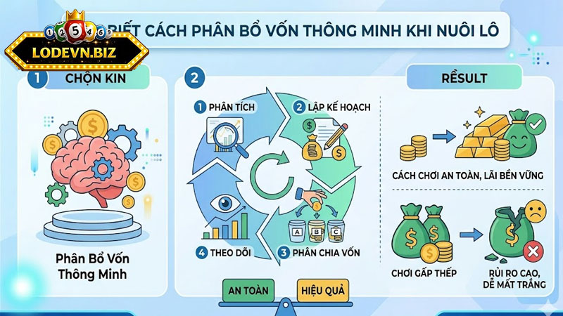 Hãy biết cách phân bổ vốn thông minh trong cách nuôi lô khung