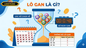 Cần nắm rõ lô gan là gì trước khi bắt đầu
