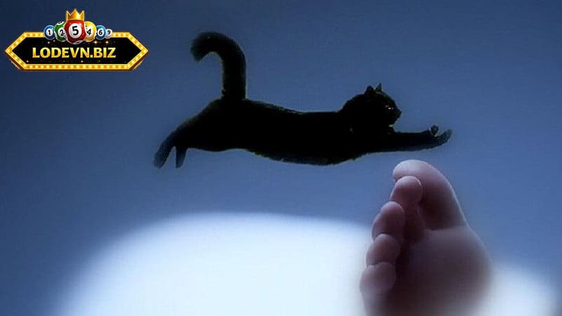 Mơ thấy mèo đánh số mấy là thắc mắc của nhiều người chơi
